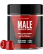 Erectonin MD Gummies Logo 